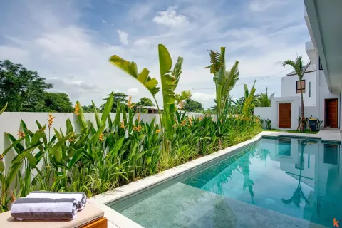 5 bedrooms Villa in Denpasar, Bali (11196) 5