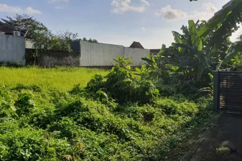 Land in Kerobokan, Badung, Bali (11603) 3