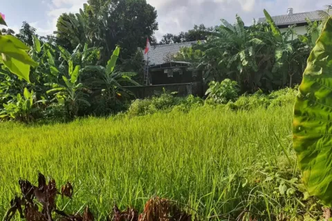 Tanah kavling di Kerobokan, Badung, Bali (11603)