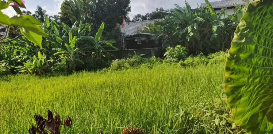 Land in Kerobokan, Badung, Bali (11603)