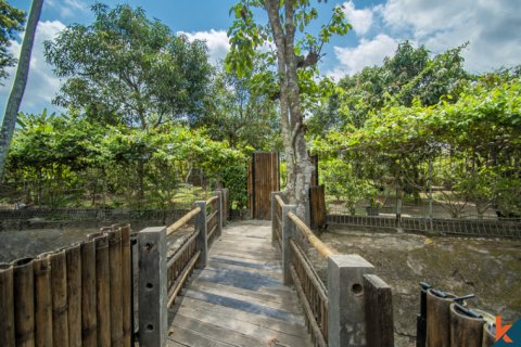 6 bedrooms Villa in Tumbak Bayuh, Mengwi, Badung, Bali (11602) 6