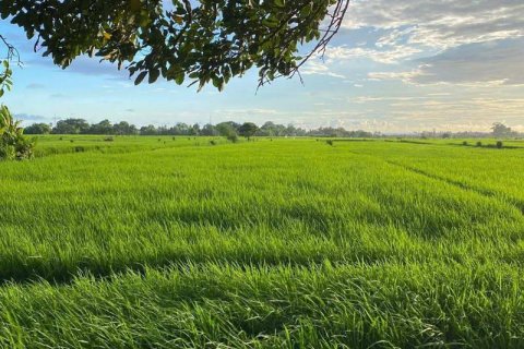 Tanah kavling 260m2 di Tabanan, Bali (13994)
