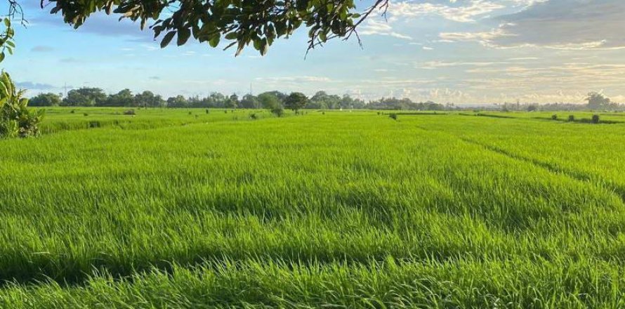 Tanah kavling 260m2 di Tabanan, Bali (13994)