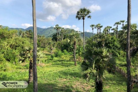 1000m2 Land in Karangasem, Karang Asem, Bali (13992)