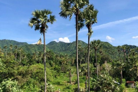 Tanah kavling 1000m2 di Karangasem, Karang Asem, Bali (13992) 5