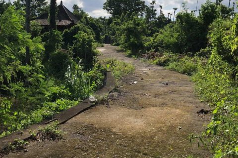 Tanah kavling 1000m2 di Karangasem, Karang Asem, Bali (13992) 2