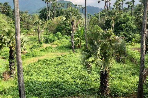 Tanah kavling 1000m2 di Karangasem, Karang Asem, Bali (13992) 6