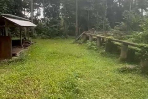 1230m2 Land in Ubud, Gianyar, Bali (13995)