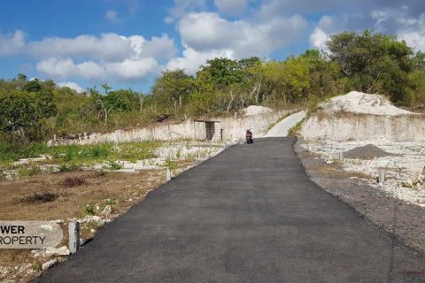 Tanah kavling 330m2 di Nusa Penida, Klungkung, Bali (13989) 8
