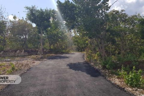 Tanah kavling 330m2 di Nusa Penida, Klungkung, Bali (13989) 6