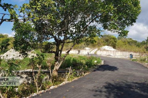 Tanah kavling 330m2 di Nusa Penida, Klungkung, Bali (13989) 7