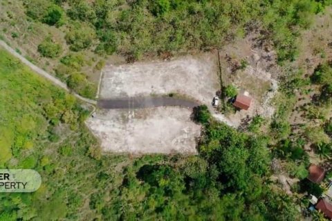 330m2 Land in Nusa Penida, Klungkung, Bali (13989)