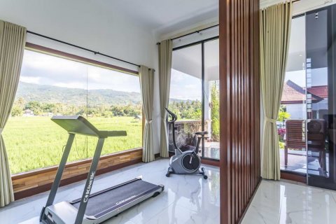 3 bedrooms Villa in Lovina, Anturan, Buleleng, Bali (5900) 8