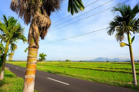 5 bedrooms Villa in Cemagi, Mengwi, Badung, Bali (5905) 14