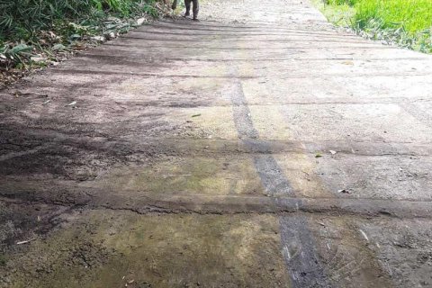 7000m2 Land in Lovina, Anturan, Buleleng, Bali (5807) 9