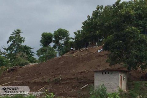7000m2 Land in Lovina, Anturan, Buleleng, Bali (5807) 6