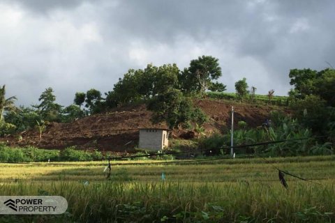 7000m2 Land in Lovina, Anturan, Buleleng, Bali (5807) 5