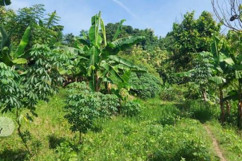 7000m2 Land in Lovina, Anturan, Buleleng, Bali (5807) 10