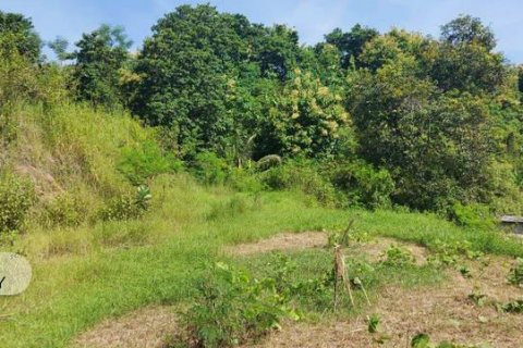 7000m2 Land in Lovina, Anturan, Buleleng, Bali (5807) 8