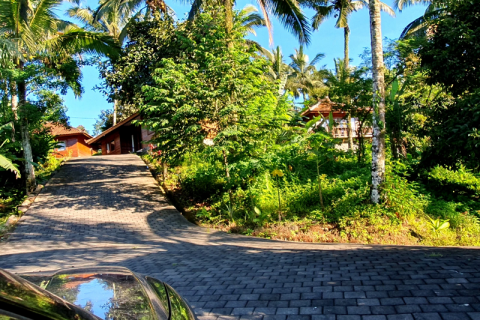 9 bedrooms Villa in Tabanan, Bali (9814) 11