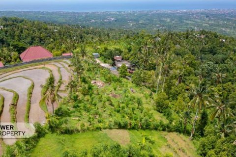 1730m2 Land in Lovina, Anturan, Buleleng, Bali (9816) 12