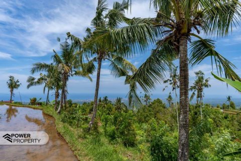 1730m2 Land in Lovina, Anturan, Buleleng, Bali (9816) 7