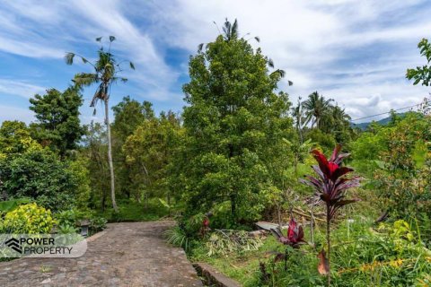 1730m2 Land in Lovina, Anturan, Buleleng, Bali (9816) 2