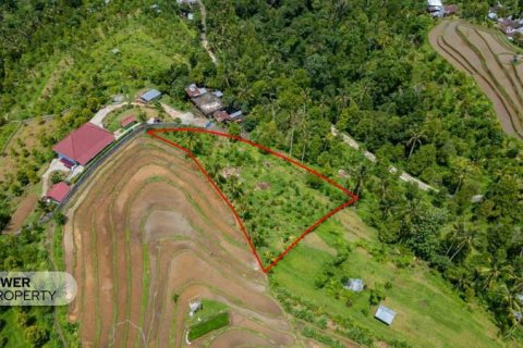 1730m2 Land in Lovina, Anturan, Buleleng, Bali (9816) 15