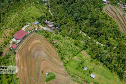 1730m2 Land in Lovina, Anturan, Buleleng, Bali (9816) 9