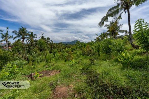 1730m2 Land in Lovina, Anturan, Buleleng, Bali (9816) 4