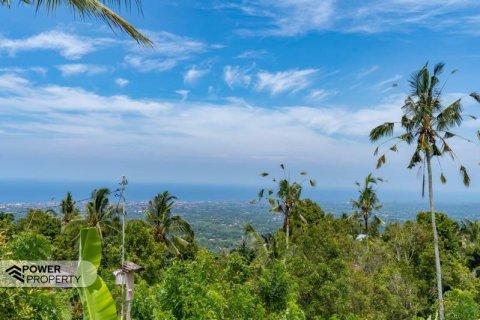 1730m2 Land in Lovina, Anturan, Buleleng, Bali (9816) 6