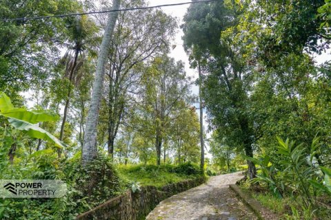 1730m2 Land in Lovina, Anturan, Buleleng, Bali (9816) 14