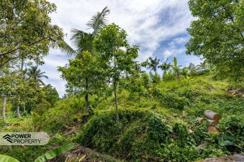 1730m2 Land in Lovina, Anturan, Buleleng, Bali (9816) 16