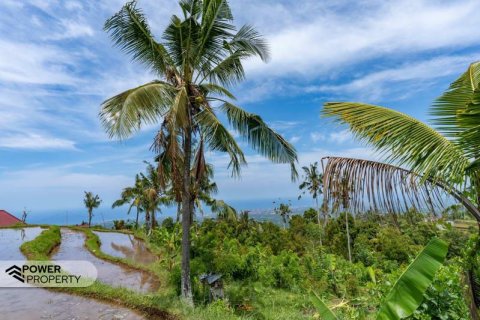 1730m2 Land in Lovina, Anturan, Buleleng, Bali (9816) 8