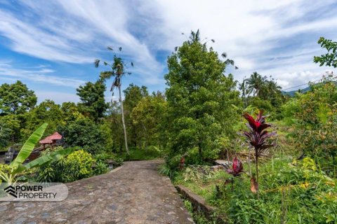 1730m2 Land in Lovina, Anturan, Buleleng, Bali (9816) 3