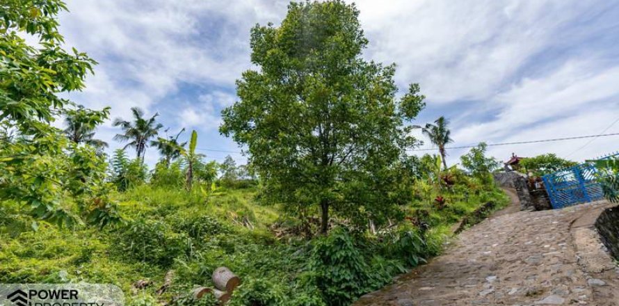 1730m2 Land in Lovina, Anturan, Buleleng, Bali (9816)