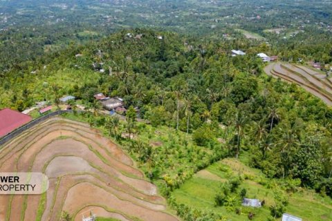 1730m2 Land in Lovina, Anturan, Buleleng, Bali (9816) 11
