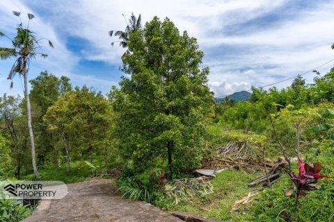 1730m2 Land in Lovina, Anturan, Buleleng, Bali (9816) 5