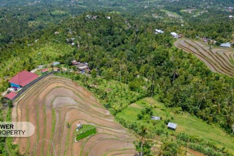 1730m2 Land in Lovina, Anturan, Buleleng, Bali (9816) 10