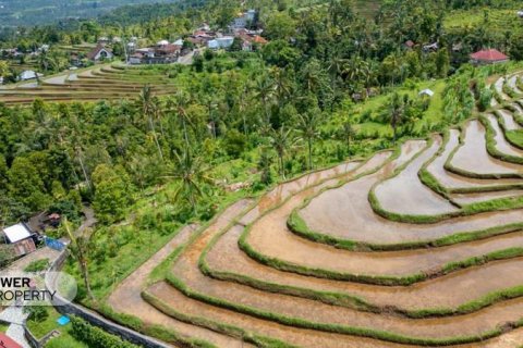 1730m2 Land in Lovina, Anturan, Buleleng, Bali (9816) 13