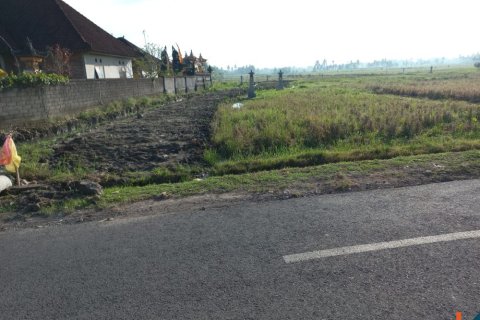 Land in Tabanan, Bali (12206) 2