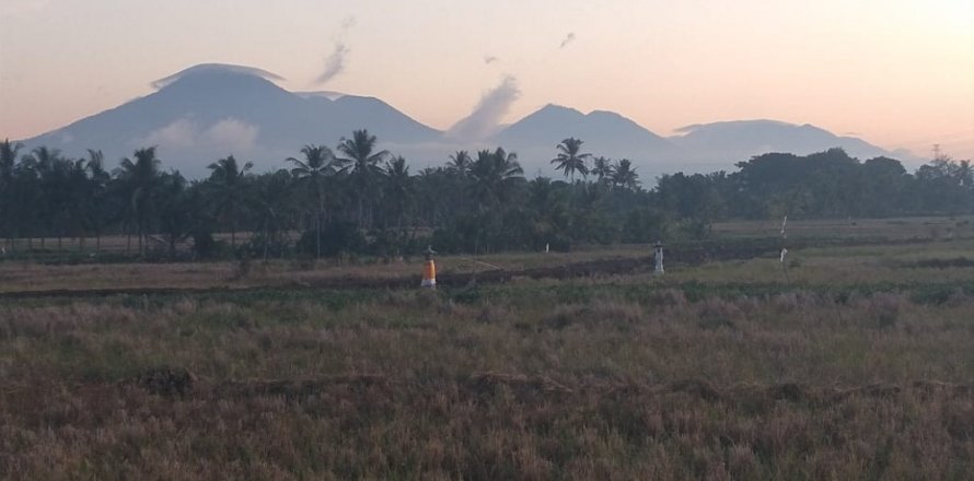 Land in Tabanan, Bali (12206)