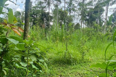 Land in Gianyar, Bali (12200) 2