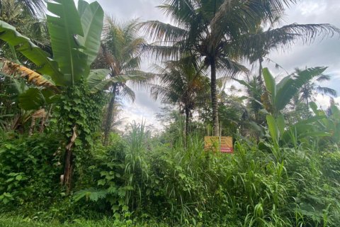 Tanah kavling di Gianyar, Bali (12200)
