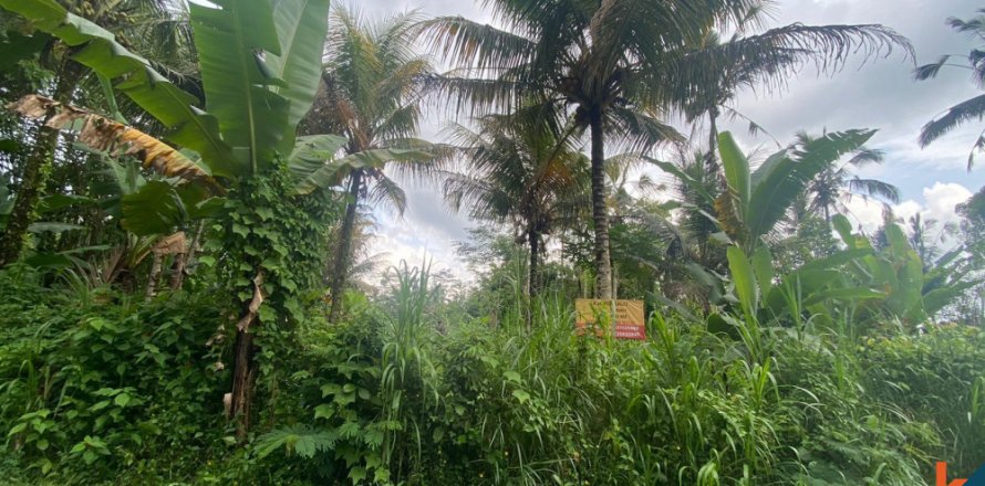 Land in Gianyar, Bali (12200)