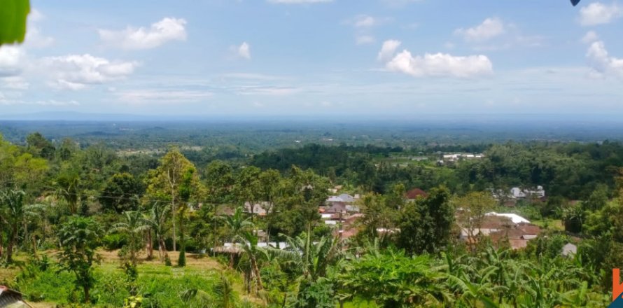 Land in Tabanan, Bali (12201)