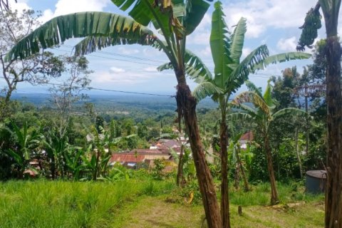 Land in Tabanan, Bali (12201) 6