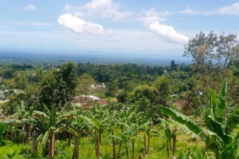 Land in Tabanan, Bali (12201) 2