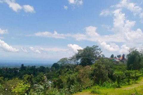 Land in Tabanan, Bali (12201) 3