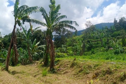 Land in Tabanan, Bali (12201) 4